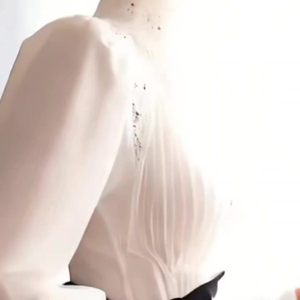 時尚女士衫 t 恤 高級豪華感優雅時尚白色空洞蓬袖花邊領衫女士設計感。